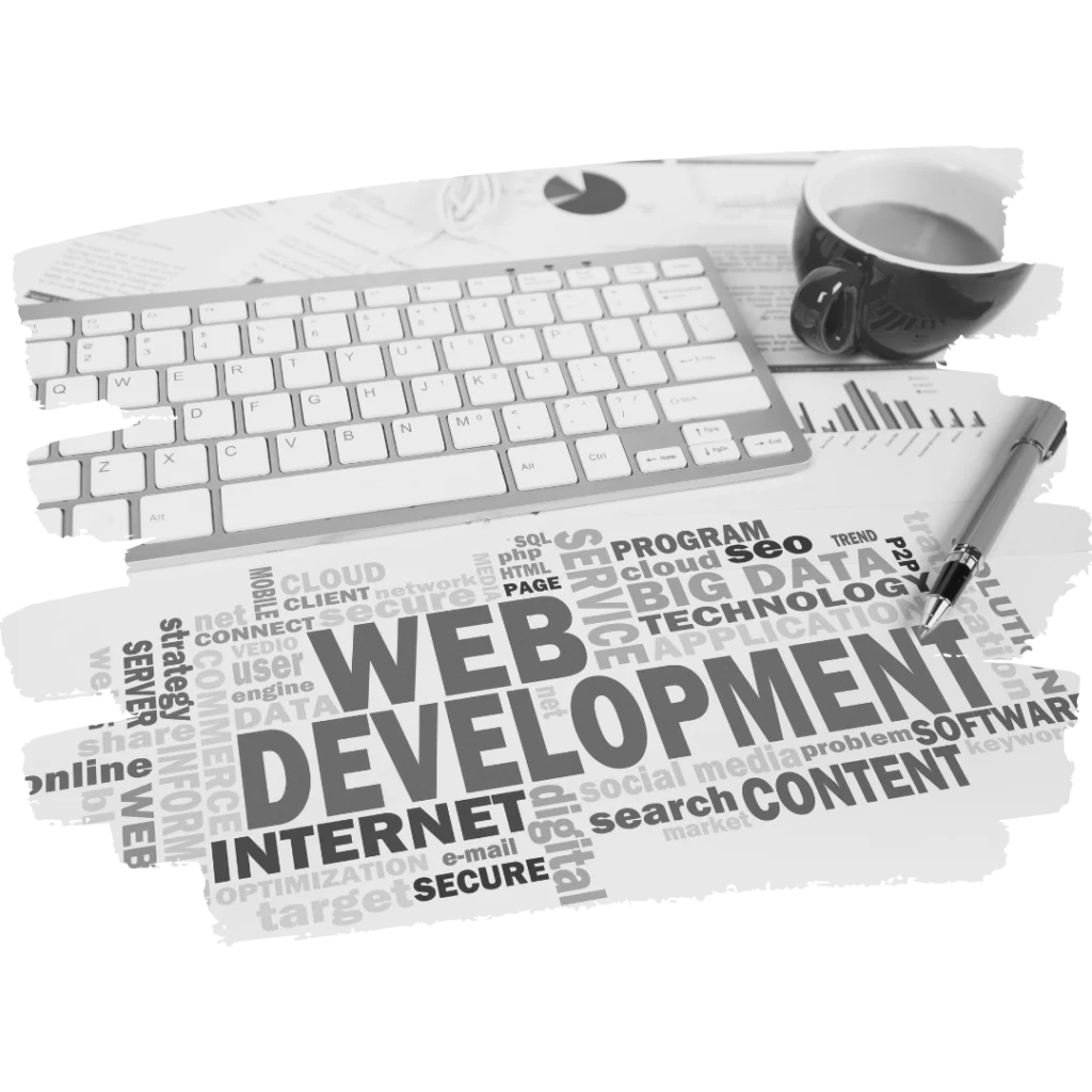 Digital Sita Agency _ WEB DEVELOPMENT