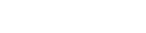 Digital Sita Agency _ WordPress